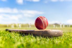 Real Cricket blog